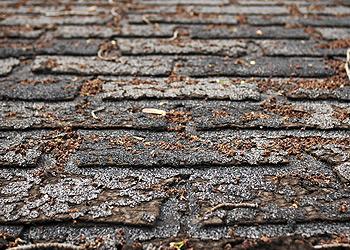 Hasheider Roofing and Siding Images
